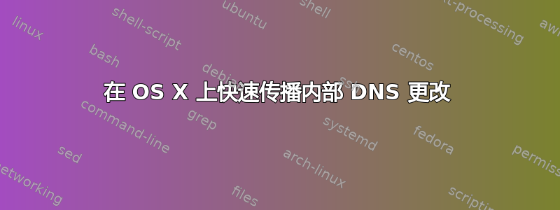 在 OS X 上快速传播内部 DNS 更改