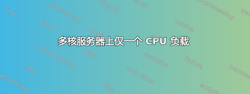 多核服务器上仅一个 CPU 负载