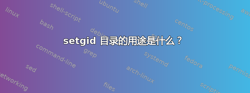 setgid 目录的用途是什么？