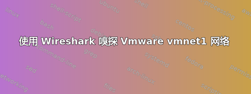 使用 Wireshark 嗅探 Vmware vmnet1 网络