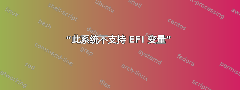 “此系统不支持 EFI 变量”