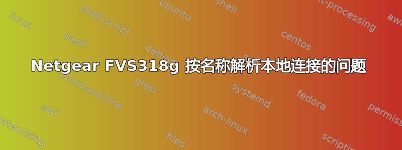 Netgear FVS318g 按名称解析本地连接的问题