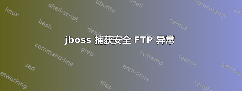 jboss 捕获安全 FTP 异常