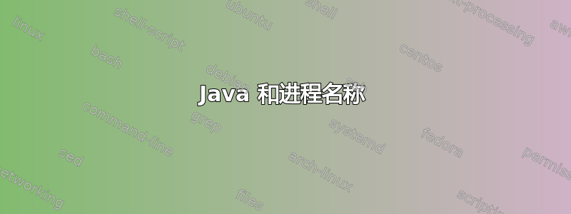 Java 和进程名称