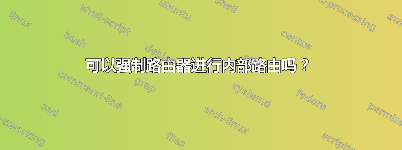 可以强制路由器进行内部路由吗？