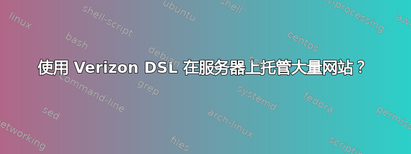 使用 Verizon DSL 在服务器上托管大量网站？