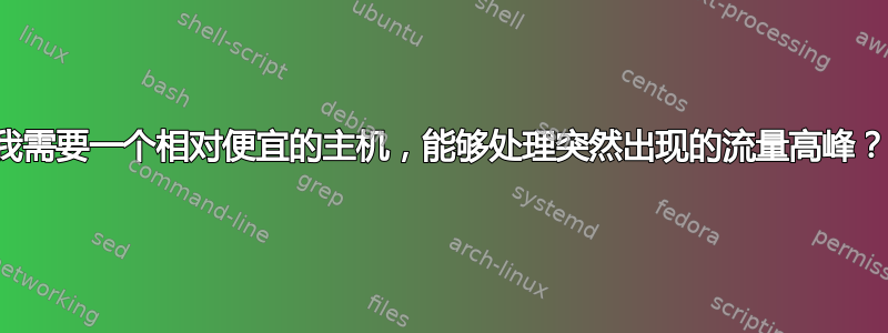 我需要一个相对便宜的主机，能够处理突然出现的流量高峰？