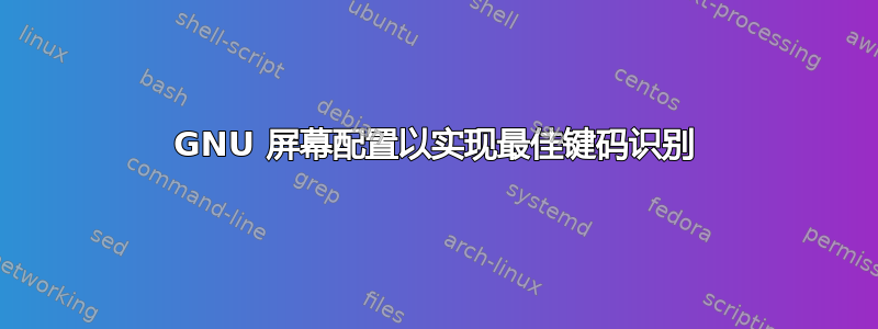 GNU 屏幕配置以实现最佳键码识别