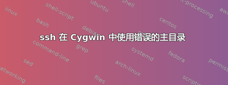 ssh 在 Cygwin 中使用错误的主目录