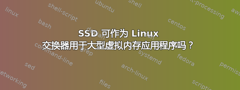 SSD 可作为 Linux 交换器用于大型虚拟内存应用程序吗？