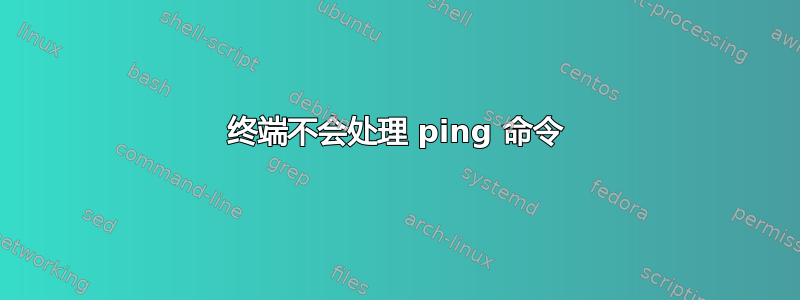 终端不会处理 ping 命令