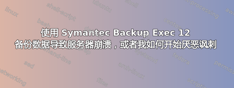 使用 Symantec Backup Exec 12 备份数据导致服务器崩溃，或者我如何开始厌恶讽刺