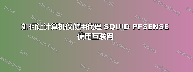 如何让计算机仅使用代理 SQUID PFSENSE 使用互联网