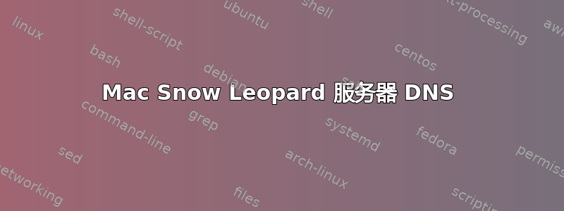 Mac Snow Leopard 服务器 DNS