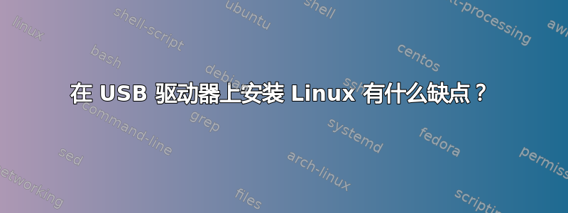 在 USB 驱动器上安装 Linux 有什么缺点？