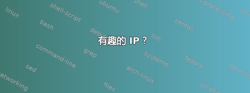 有趣的 IP？