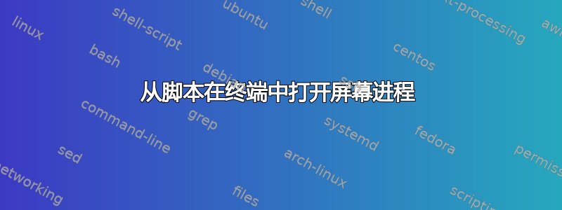 从脚本在终端中打开屏幕进程