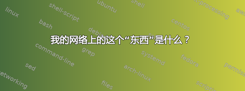 我的网络上的这个“东西”是什么？