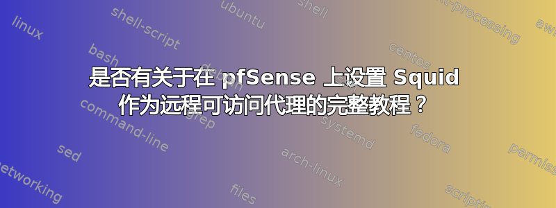 是否有关于在 pfSense 上设置 Squid 作为远程可访问代理的完整教程？