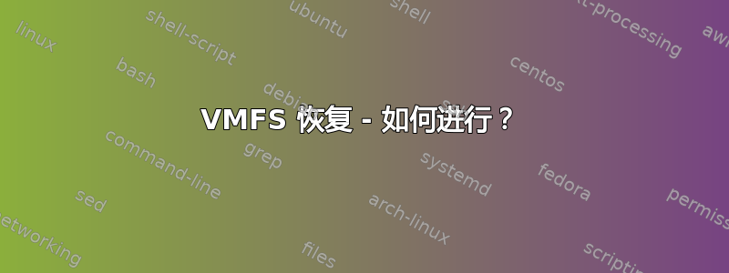 VMFS 恢复 - 如何进行？