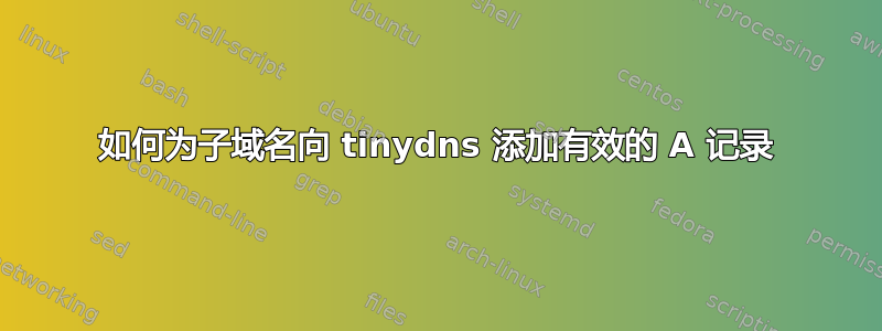 如何为子域名向 tinydns 添加有效的 A 记录