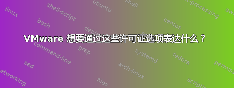 VMware 想要通过这些许可证选项表达什么？