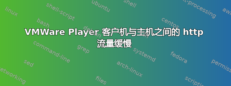 VMWare Player 客户机与主机之间的 http 流量缓慢