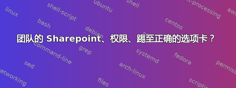 团队的 Sharepoint、权限、踢至正确的选项卡？