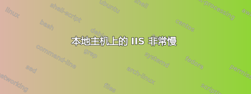 本地主机上的 IIS 非常慢