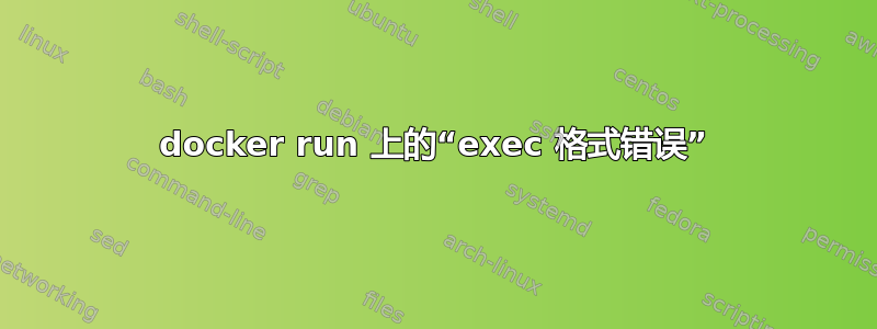 docker run 上的“exec 格式错误”