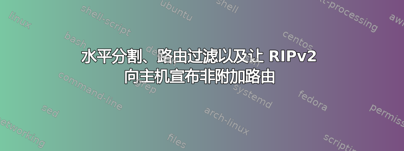 水平分割、路由过滤以及让 RIPv2 向主机宣布非附加路由