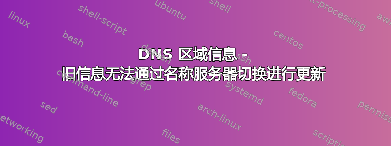 DNS 区域信息 - 旧信息无法通过名称服务器切换进行更新