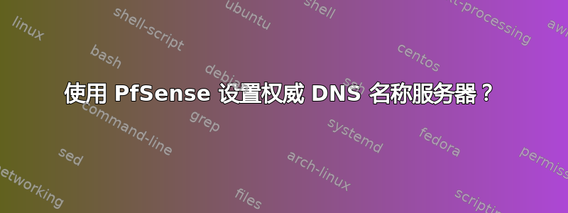 使用 PfSense 设置权威 DNS 名称服务器？