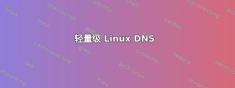 轻量级 Linux DNS 