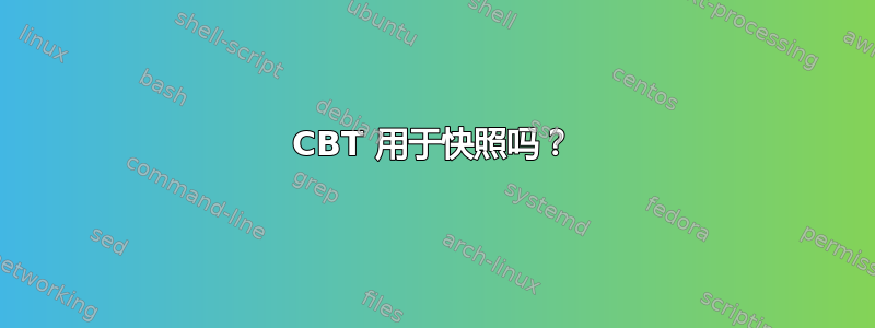 CBT 用于快照吗？