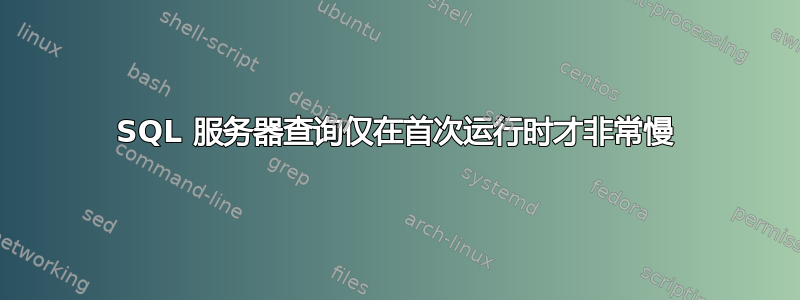 SQL 服务器查询仅在首次运行时才非常慢