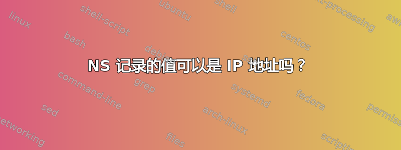 NS 记录的值可以是 IP 地址吗？