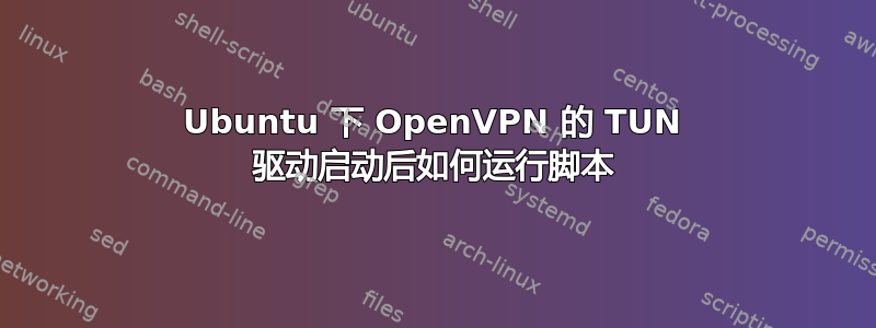 Ubuntu 下 OpenVPN 的 TUN 驱动启动后如何运行脚本