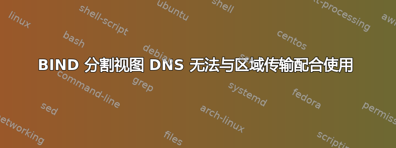 BIND 分割视图 DNS 无法与区域传输配合使用