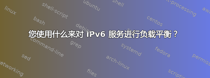 您使用什么来对 IPv6 服务进行负载平衡？