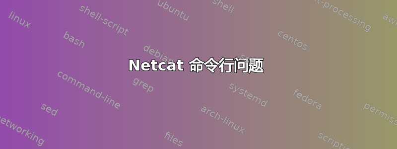 Netcat 命令行问题