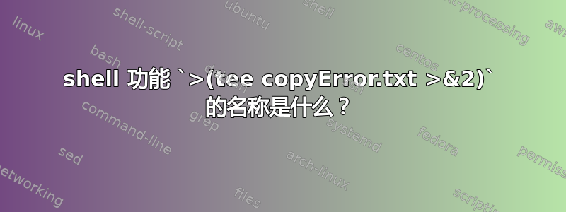 shell 功能 `>(tee copyError.txt >&2)` 的名称是什么？