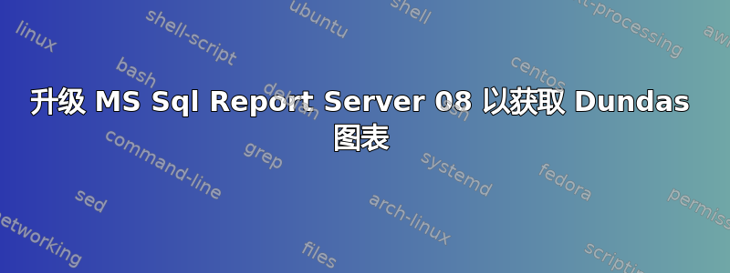 升级 MS Sql Report Server 08 以获取 Dundas 图表