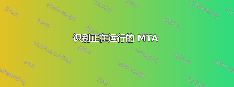 识别正在运行的 MTA