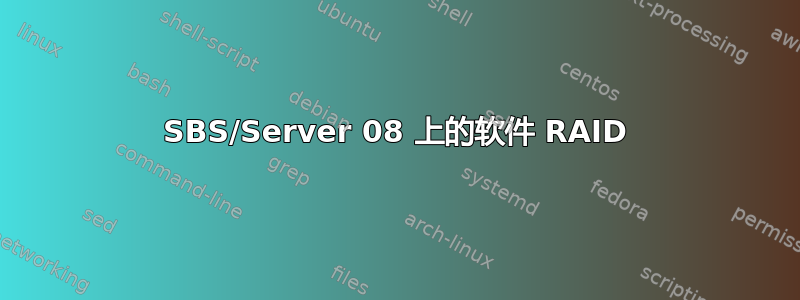 SBS/Server 08 上的软件 RAID