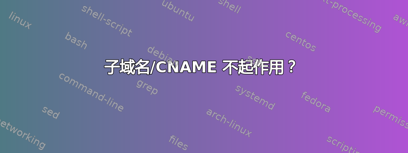 子域名/CNAME 不起作用？