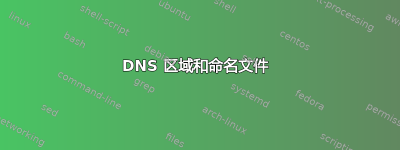 DNS 区域和命名文件 