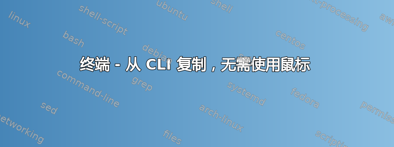 终端 - 从 CLI 复制，无需使用鼠标