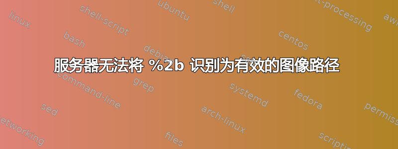 服务器无法将 %2b 识别为有效的图像路径