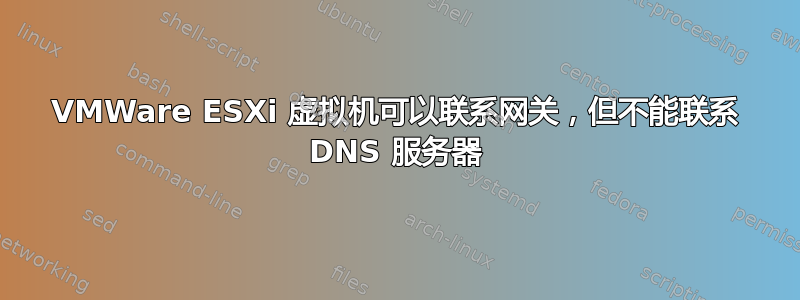 VMWare ESXi 虚拟机可以联系网关，但不能联系 DNS 服务器